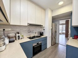 The Floravale (D22), Condominium #629251991